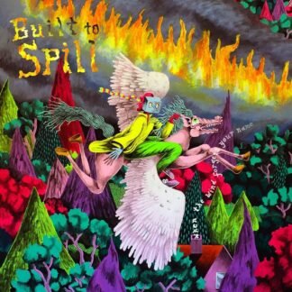 Built to Spill  - WHEN THE WIND FORGETS YOUR NAME
