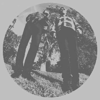 Ty Segall - Hair [Disco de Vinil]