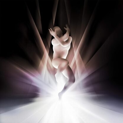 Smashing Pumpkins - CYR [Orchid 2 LP]