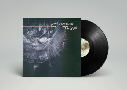 Cocteau Twins - Treasure [Disco de Vinil] - Imagem 4