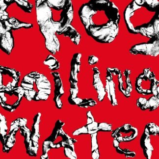 DIIV - Frog In Boiling Water[LP]
