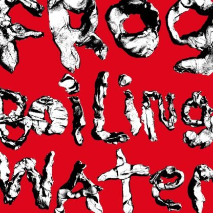 DIIV - Frog In Boiling Water[LP]