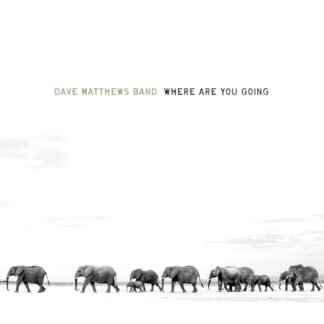 Dave Matthews - Where Are You Going: The Singles
