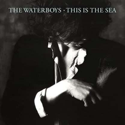 The Waterboys - This Is the Sea [Disco de Vinil]