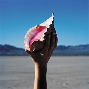 The Killers - Wonderful Wonderful [LP]