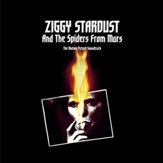 David Bowie - Ziggy Stardust And The Spiders [Disco de Vinil]