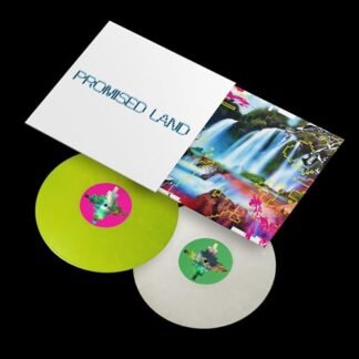 Vintage Culture - Promised Land