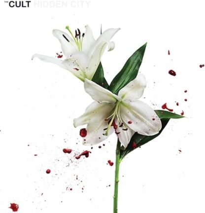 Cult - Hidden City [Disco de Vinil]