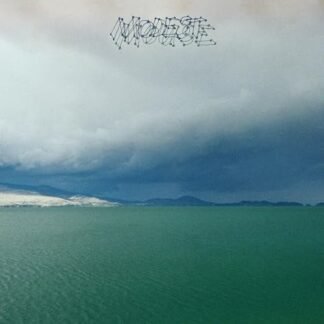 Modest Mouse - Fruit That Ate Itself [Disco de Vinil]