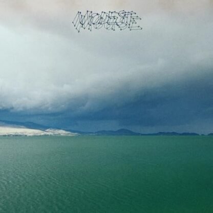 Modest Mouse - Fruit That Ate Itself [Disco de Vinil]