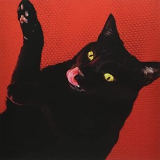 Ryan Adams - Big Colors [Limited 'Cat's Eye' Yellow Colored Vinyl With Bonus 7-Inch] [Disco de Vinil]