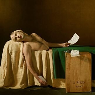Andrew Bird - My Finest Work Yet [Disco de Vinil]