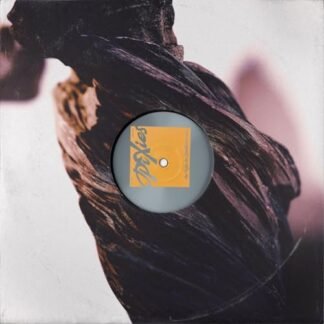 Pixies - The Night The Zombies Came [LP]