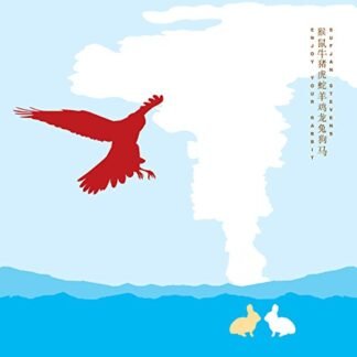 Sufjan Stevens - Enjoy Your Rabbit [Disco de Vinil]