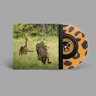 Thundercat & Tame Impala - NO MORE LIES