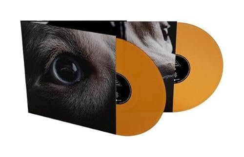 Roger Waters - The Dark Side of the Moon Redux [VINYL]