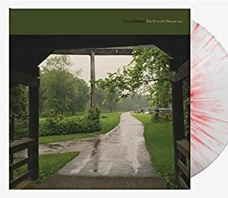 Cloud Nothings - The Shadow I Remember - Exclusive Limited Edition Strawberry Cough Colored Vinyl LP (300 Copies Worldwide)