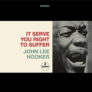 John Lee Hooker - It Serve You Right To Suffer