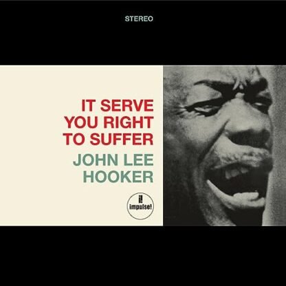 John Lee Hooker - It Serve You Right To Suffer