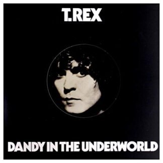 T-Rex - Dandy in the Underworld [Disco de Vinil]