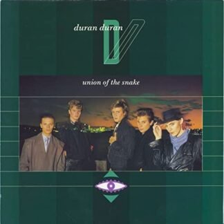 Duran Duran - Union Of The Snake - Monkey Mix