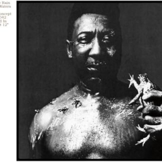 Muddy Waters - After the Rain [Disco de Vinil]