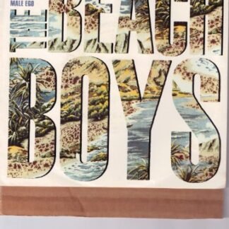 BEACH BOYS, THE/Getcha Back/45rpm Record + picture sleeve