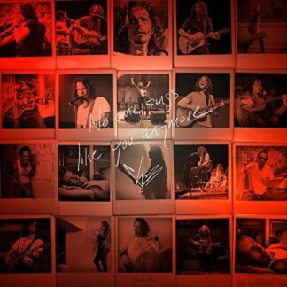 Chris Cornell - No One Sings Like You Anymore [LP]