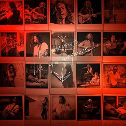 Chris Cornell - No One Sings Like You Anymore [LP]