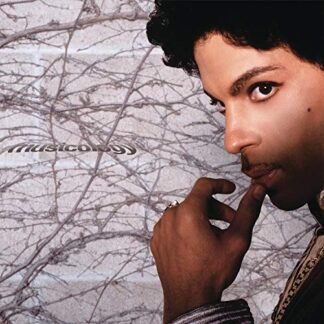 Prince - Musicology [Disco de Vinil]