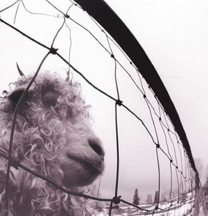 Pearl Jam - vs. Vinyl Edition Remastered