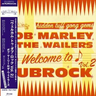 Bob Marley & The Wailers - Welcome To Dubrock 2