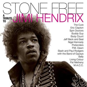 Jimi Tribute Hendrix - Stone Free: Jimi Hendrix Tribute (Black & Clear Vinyl) (Rocktober 2020) [Disco de Vinil]
