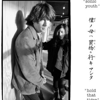 Sonic Youth - Hold That Tiger [VINYL]