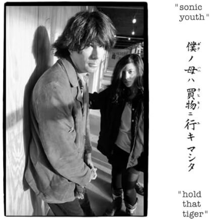 Sonic Youth - Hold That Tiger [VINYL]