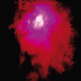 Porcupine Tree - UP THE DOWNSTAIR (2LP/140G/GATEFOLD SLEEVE)
