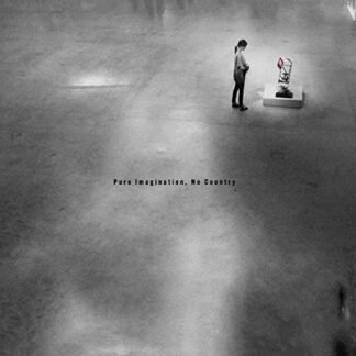 Dave Harrington Group - Pure Imagination, No Country [Disco de Vinil]