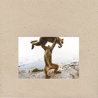 Shellac - Dude Incredible [Disco de Vinil]