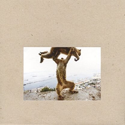 Shellac - Dude Incredible [Disco de Vinil]
