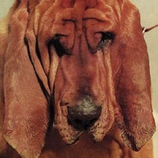 Ty Segall - Goodbye Bread [Disco de Vinil]