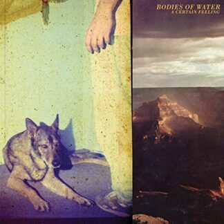 Bodies Of Water - A Certain Feeling [Disco de Vinil]