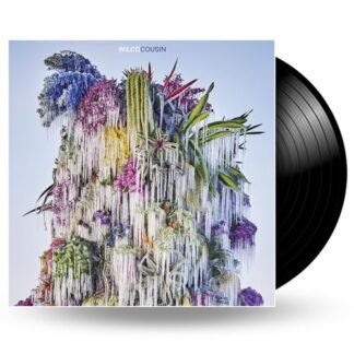 Wilco - Cousin