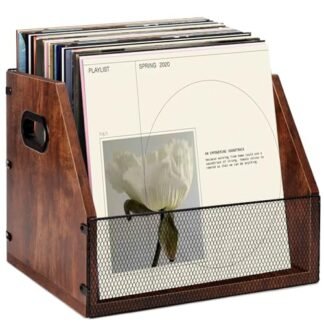 Porta Disco Vinil, Porta Vinil, Suporte Vinil, Caixa de Armazenamento de Discos de Vinil para 60 Discos, Caixa de Discos de Vinil, Caixa de Armazenamento de Discos de Metal e Madeira