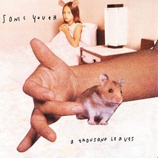 Sonic Youth - A Thousand Leaves [Disco de Vinil]