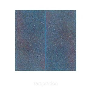 New Order - Temptation