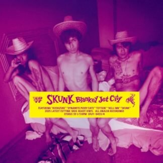 Blankey Jet City - Skunk