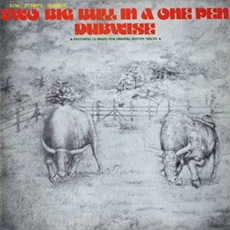 King Tubby's - Two Big Bull In A One Pen (Dubwise Versions) [Disco de Vinil]