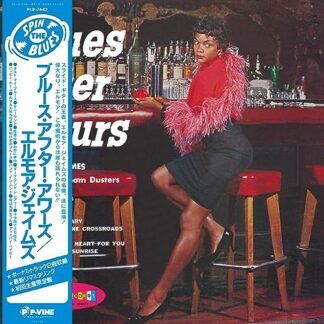 Elmore James & The Broom Dusters - Blues After Hours