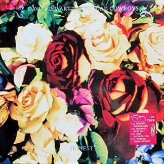 Dave Stewart And The Spiritual Cowboys - Honest