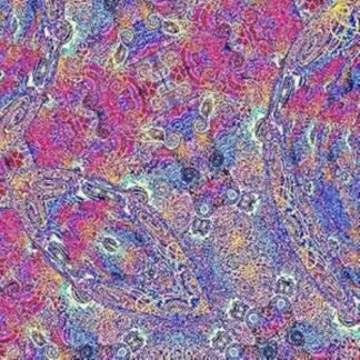 African Roots Of Jazz - Placenta ("PLACENTAL" PURPLE & BLUE MARBLE VINYL)